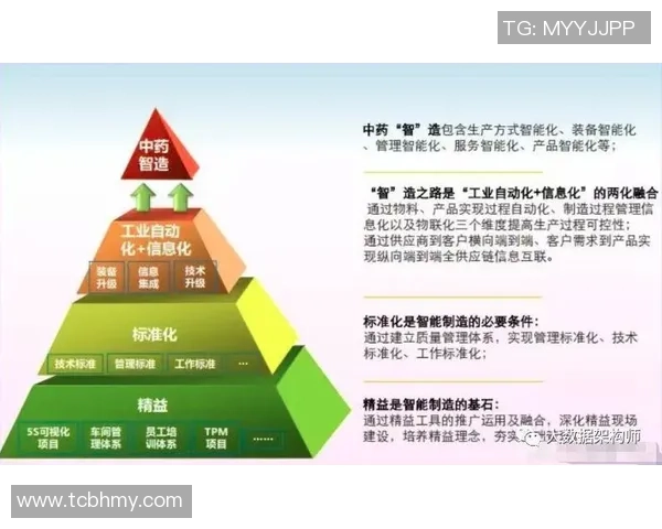 杭州乒乓球队转型之路的挑战与机遇深度剖析与展望